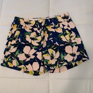 J Crew shorts